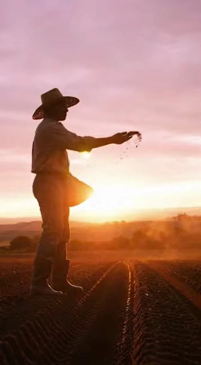 Farming in Action Compilation: Planting, Harvesting, Crop Management and Sustainable Agriculture Across Rural Fields